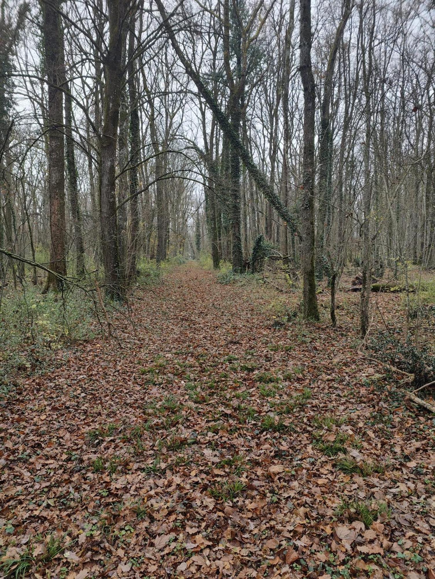 Le Chateau Du Sollier - Charme Et Confort A 5mn Du Peage * Le Subdray