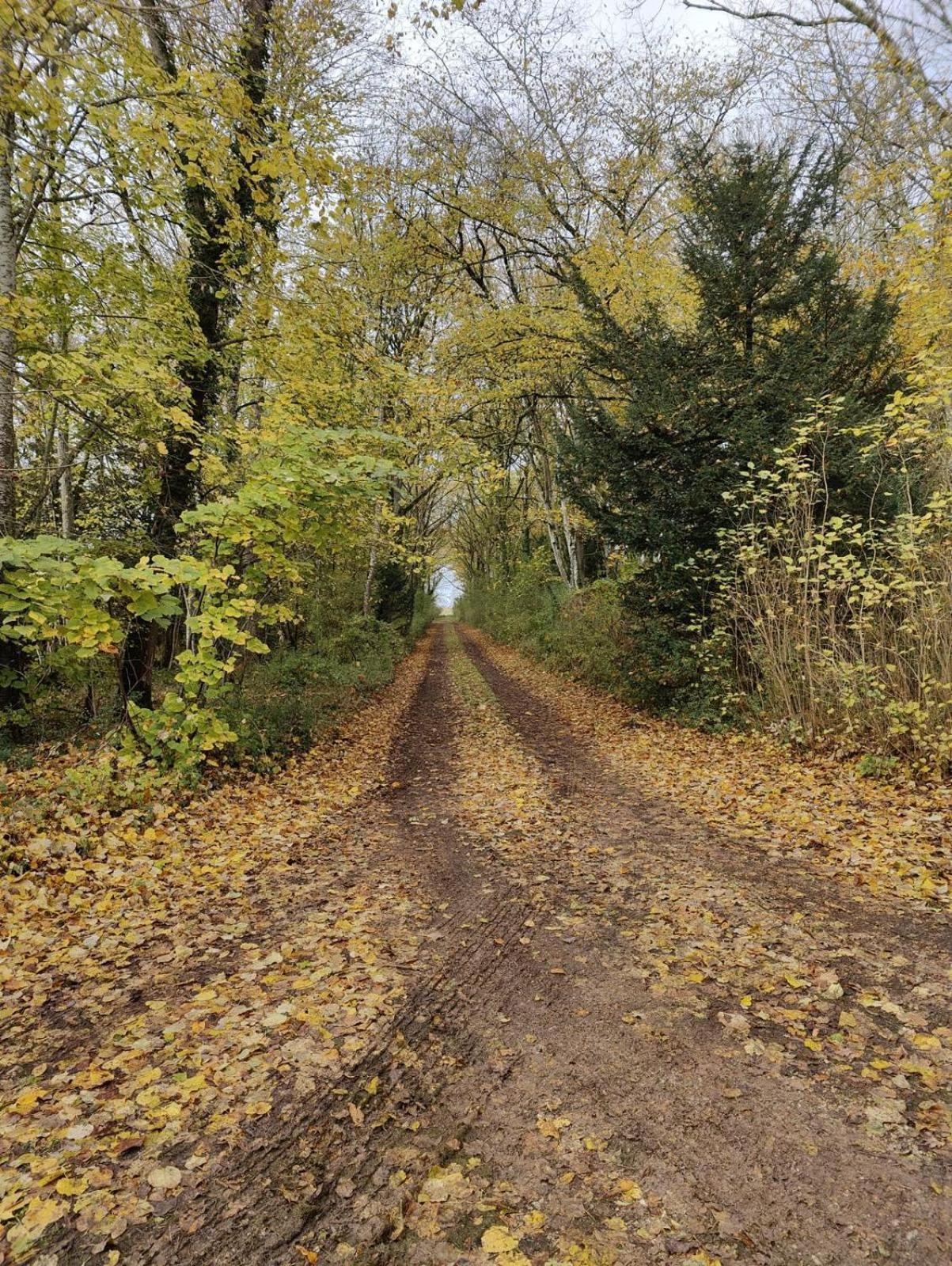 Le Chateau Du Sollier - Charme Et Confort A 5mn Du Peage