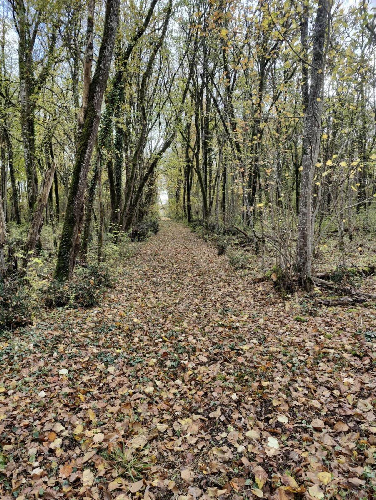 Appart hôtel Le Chateau Du Sollier - Charme Et Confort A 5mn Du Peage Le Subdray